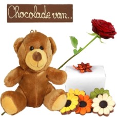 Chocolate and teddy bear (Chocolate cuddly toy package deluxe + fresh red rose in water)